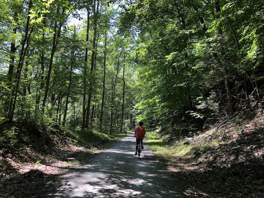 New Jersey wooded trail