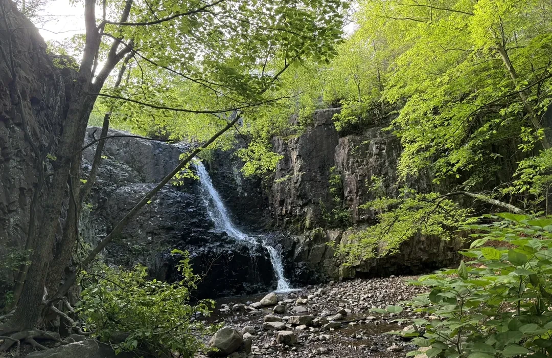 NJ Forests and Trails
